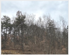  2024Ÿ��88076  �Ӿ߰��