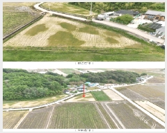  2024Ÿ��89031 ���� ���걸 ���굿 200-1       ����(��)���