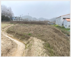  2024Ÿ��2485  ����