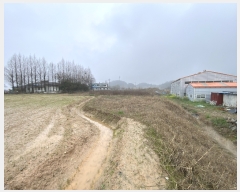  2024Ÿ��2485  ����