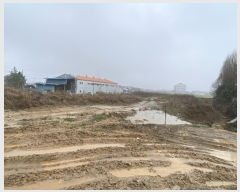  2024Ÿ��2485  ����