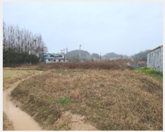  2024Ÿ��2485  ����