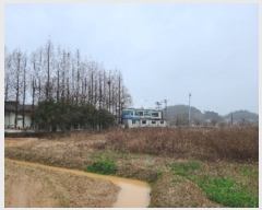  2024Ÿ��2485  ����