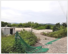  2024Ÿ4306  籺   1224-5      â