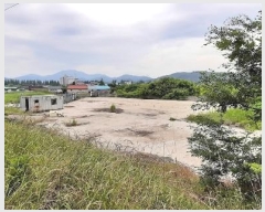  2024Ÿ4306  籺   1224-5      â