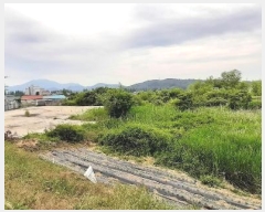  2024Ÿ4306  籺   1224-5      â