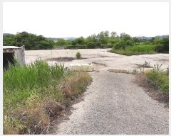  2024Ÿ4306  籺   1224-5      â