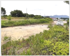  2024Ÿ4306  籺   1224-5      â