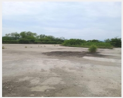  2024Ÿ4306  籺   1224-5      â