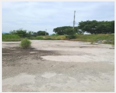  2024Ÿ4306  籺   1224-5      â