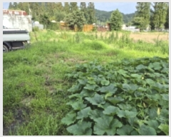  2024Ÿ5248  籺  ħ 97-4      ()