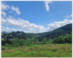  2024Ÿ5934  籺  ϸ 116      (Ӿ)