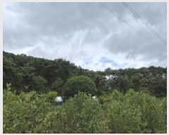  2024Ÿ5934  籺  ϸ 116      (Ӿ)