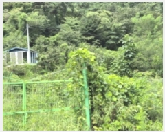  2024Ÿ6760  ȭ ȭ ̽ʰ 373      ()