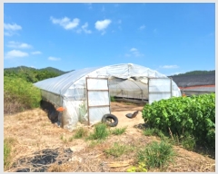  2024Ÿ��6876 ���� ���ֽ� ������ ������ 245      ����(��1)���