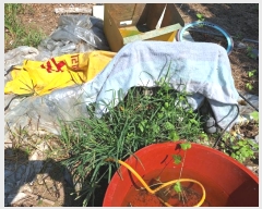  2024Ÿ��6876 ���� ���ֽ� ������ ������ 245      ����(��1)���