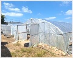  2024Ÿ��6876 ���� ���ֽ� ������ ������ 245      ����(��1)���