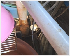  2024Ÿ��6876 ���� ���ֽ� ������ ������ 245      ����(��1)���