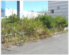  2024Ÿ��7459  ������