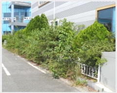  2024Ÿ��7459  ������