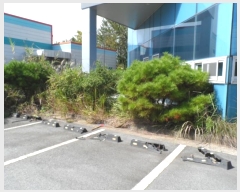  2024Ÿ��7459  ������