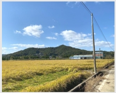  2024Ÿ��7893  �����