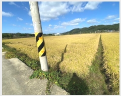  2024Ÿ��7893  �����