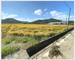  2024Ÿ��7893  �����