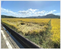  2024Ÿ��7893  �����