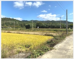  2024Ÿ��7893  �����