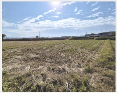  2024Ÿ��8476 ���� ���ֽ� �ݳ��� ���̸� 391-3      ����(��1)���