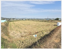  2024Ÿ��8476 ���� ���ֽ� �ݳ��� ���̸� 391-3      ����(��1)���