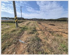  2024Ÿ��8476 ���� ���ֽ� �ݳ��� ���̸� 391-3      ����(��1)���