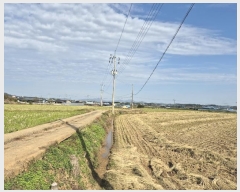  2024Ÿ��8476 ���� ���ֽ� �ݳ��� ���̸� 391-3      ����(��1)���