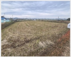  2024Ÿ��8476 ���� ���ֽ� �ݳ��� ���̸� 391-3      ����(��1)���