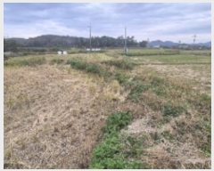  2024Ÿ��8476 ���� ���ֽ� �ݳ��� ���̸� 391-3      ����(��1)���