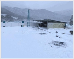  2024Ÿ��9493 ���� ��� ��� ������ 399      �����Ұ��