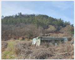  2024Ÿ63572  ȭ   71-5      (Ӿ)