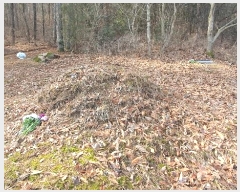  2024Ÿ63572  ȭ   71-5      (Ӿ)