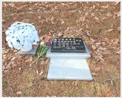  2024Ÿ63572  ȭ   71-5      (Ӿ)