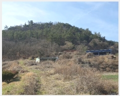  2024Ÿ63572  ȭ   71-5      (Ӿ)