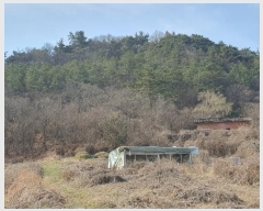  2024Ÿ63572  ȭ   71-5      (Ӿ)