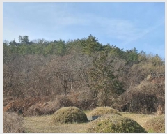  2024Ÿ63572  ȭ   71-5      (Ӿ)