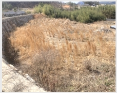  2024Ÿ65219  强 ̸ ޼ 99      (Ӿ)