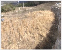  2024Ÿ65219  强 ̸ ޼ 99      (Ӿ)