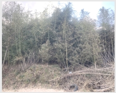  2024Ÿ65219  强 ̸ ޼ 99      (Ӿ)