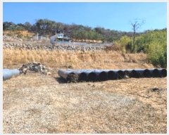  2024Ÿ65219  强 ̸ ޼ 99      (Ӿ)