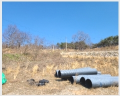  2024Ÿ65219  强 ̸ ޼ 99      (Ӿ)