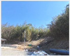  2024Ÿ65219  强 ̸ ޼ 99      (Ӿ)