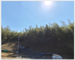  2024Ÿ65219  强 ̸ ޼ 99      (Ӿ)